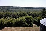 Aussicht auf das nach dem Krieg mit Bäumen angelegte Schlachtfeld